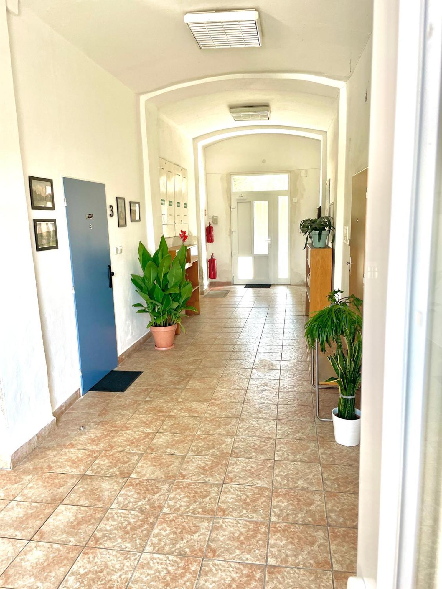 Apartman Na Zerotince Sumperk Exterior photo